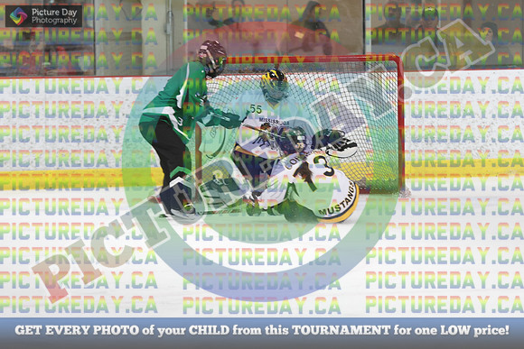 20250301-10134