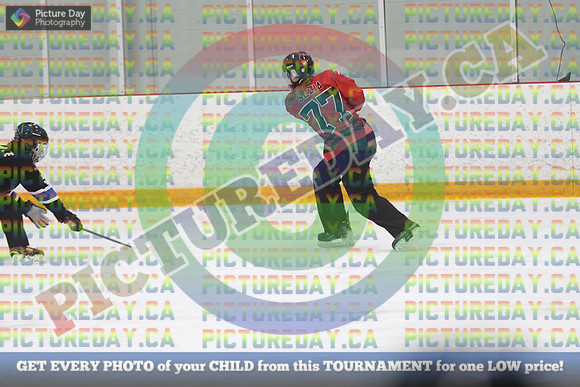 20250402-14354