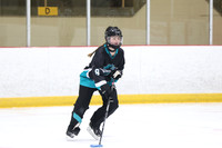 20241214-0389142024 St Marys Sinpers Ringette Tournament