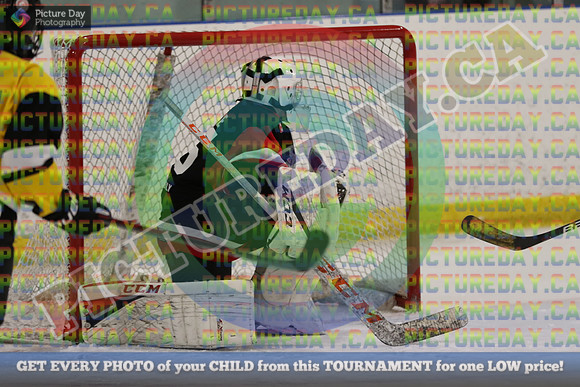 20250202-29318
