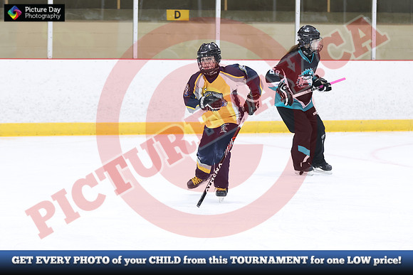 20241214-0414142024 St Marys Sinpers Ringette Tournament