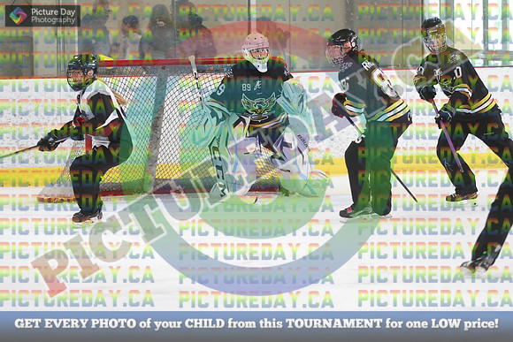 20250208-6999