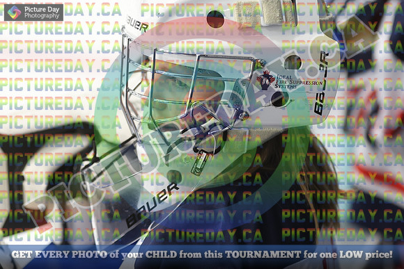 20250131-5578