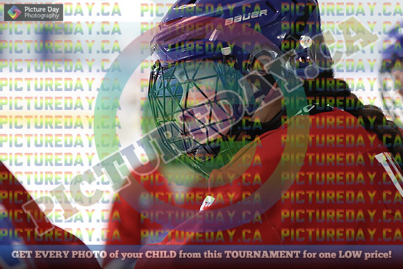 20250401-8678