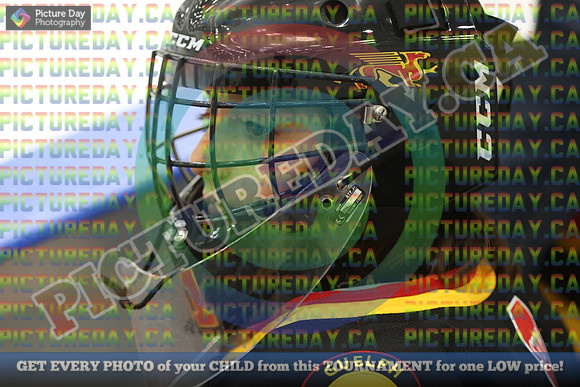 20250119-1826819