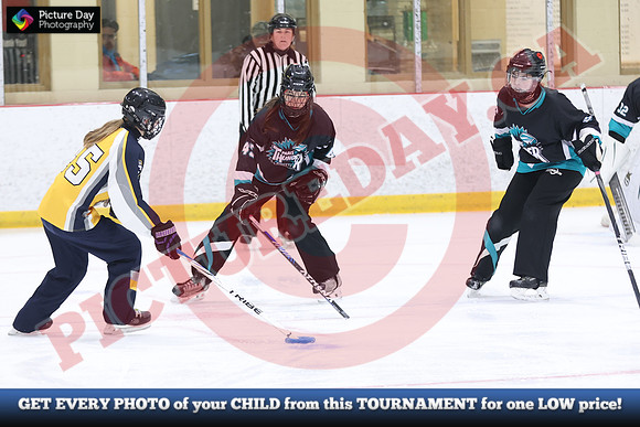 20241214-0432142024 St Marys Sinpers Ringette Tournament