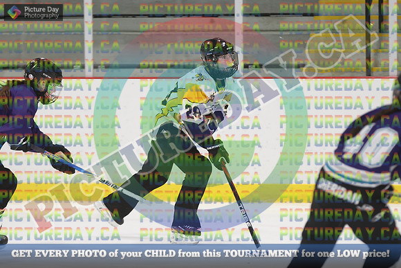 20250314-8595