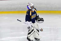 pm 02.15 CanScar-1 [B T2] Dorchester Dragons vs Etobicoke Stingers - Westwood