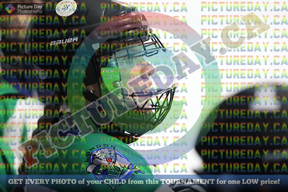 20250402-13589