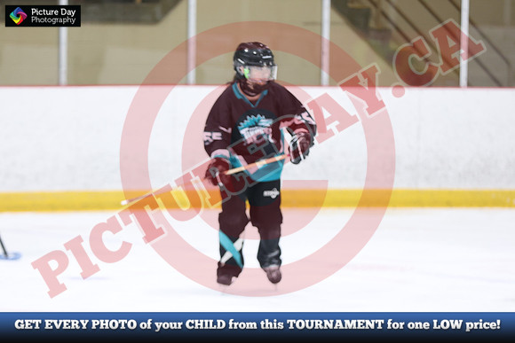 20241214-0413142024 St Marys Sinpers Ringette Tournament