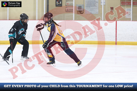 20241214-0424142024 St Marys Sinpers Ringette Tournament