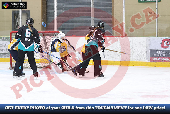 20241214-0402142024 St Marys Sinpers Ringette Tournament