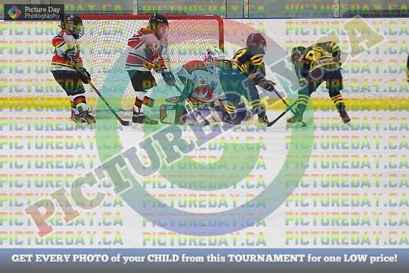 20250221-3352