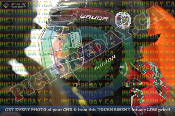 20250201-18605