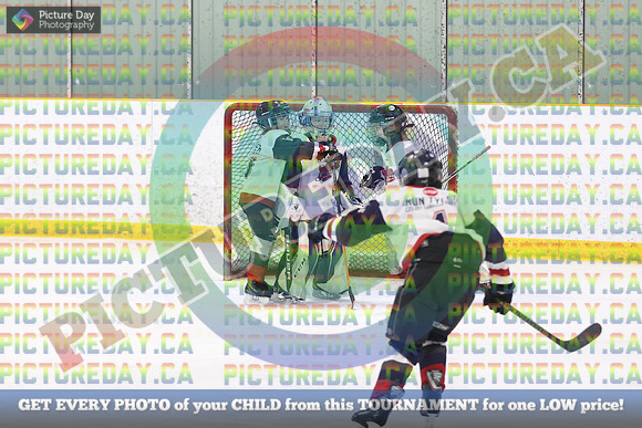 20250131-011131