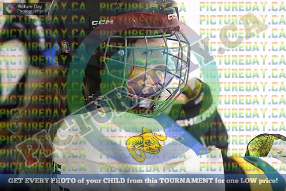 20250201-11556
