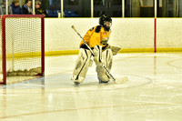 pm 05.00 Shallow Lake vs Centre Wellington #12