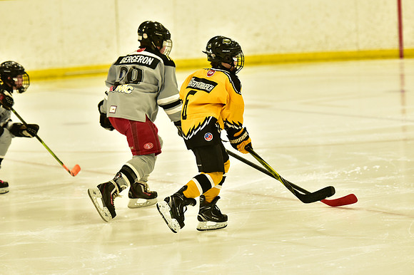 20190209-6598