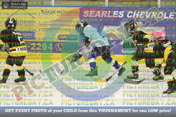 20250307-0336