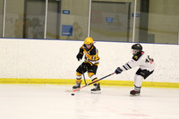 am 07.30 Coq Arena 2 [TIER 1-RR] Chilliwack A1 vs BWC Bruins A3