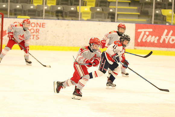 20190215-5966_pm 05.15 Coq Arena 1 [TIER 1-RR] Ridge Meadows A1 vs Cowichan A1