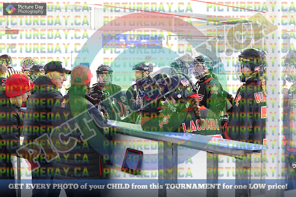 20250401-9167