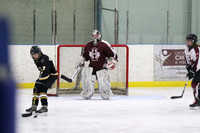 20190310-6482_pm 06.00 Huron Bruce vs Honeywood