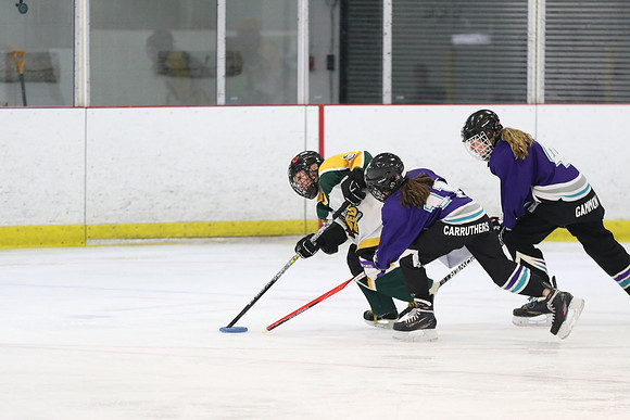 20190323-11146