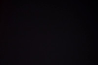 20190323-31041
