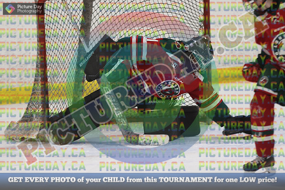 20250131-8879