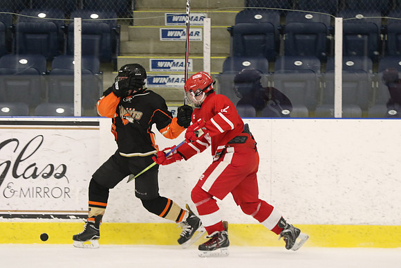 20190412-8427_pm 07.30 WF-LCC [BT1] London Bandits vs Hamilton Huskies