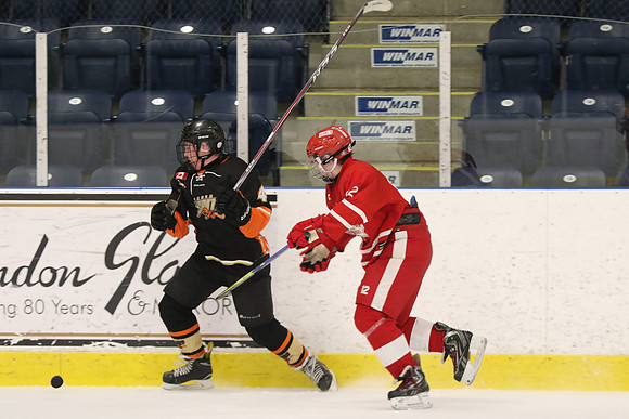 20190412-8428_pm 07.30 WF-LCC [BT1] London Bandits vs Hamilton Huskies
