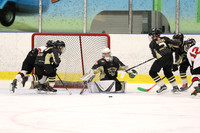 0D8A0055_am 08.00 WF-LCC [AT2] London Oakridge Aeros vs West London Hawks