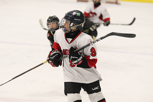 20190414-24269_pm 01.15 WF-CLO [AT2F] London Oakridge Aeros vs West London Hawks