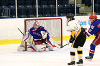 20190413-18481_pm 06.30 WF-LCC [MMT1S] Sarnia Jr. Sting vs Kitchner Rangers Red