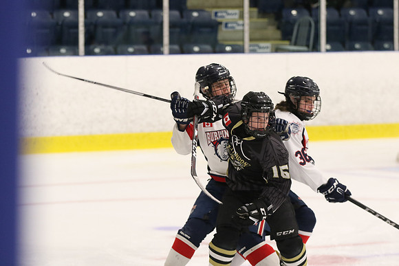 20190412-0856_am 11.20 WF-LCC [BT2] Burlington Bulldogs Red vs West London Hawks