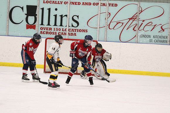20190412-9001_pm 08.10 WF-CLO [BT2] Sarnia Jr Sting vs Burlington Bulldogs Red
