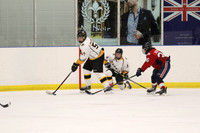 20190412-9005_pm 08.10 WF-CLO [BT2] Sarnia Jr Sting vs Burlington Bulldogs Red