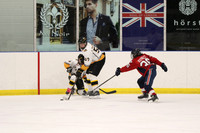 20190412-9003_pm 08.10 WF-CLO [BT2] Sarnia Jr Sting vs Burlington Bulldogs Red