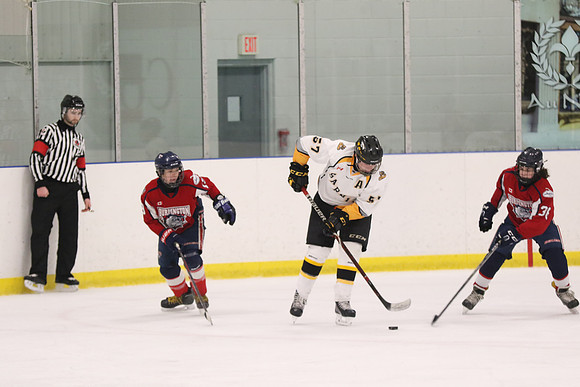 20190412-9010_pm 08.10 WF-CLO [BT2] Sarnia Jr Sting vs Burlington Bulldogs Red