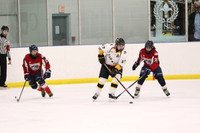 20190412-9011_pm 08.10 WF-CLO [BT2] Sarnia Jr Sting vs Burlington Bulldogs Red