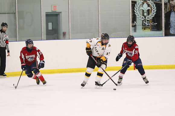 20190412-9011_pm 08.10 WF-CLO [BT2] Sarnia Jr Sting vs Burlington Bulldogs Red