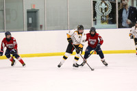 20190412-9012_pm 08.10 WF-CLO [BT2] Sarnia Jr Sting vs Burlington Bulldogs Red