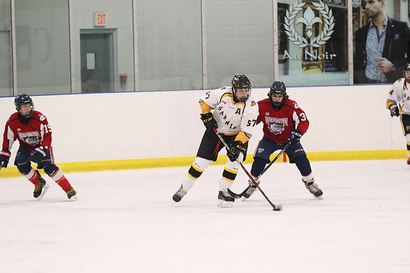 20190412-9012_pm 08.10 WF-CLO [BT2] Sarnia Jr Sting vs Burlington Bulldogs Red