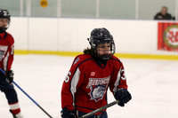 20190413-15363_pm 02.35 WF-TON [BT2] Waterloo Wolves White vs Burlington Bulldogs Red