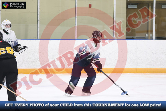 20241215-5585152024 St Marys Sinpers Ringette Tournament