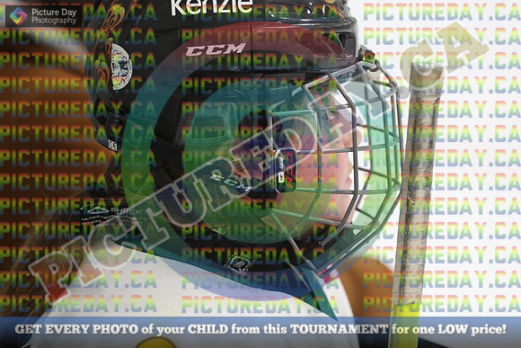 20250201-11543