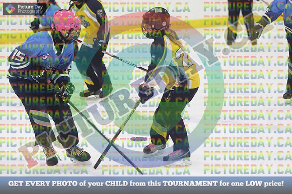 20250405-9588
