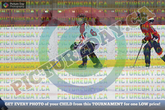 20250208-10553