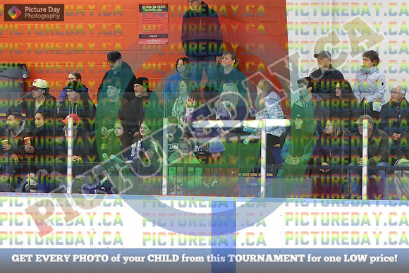 20250401-9954